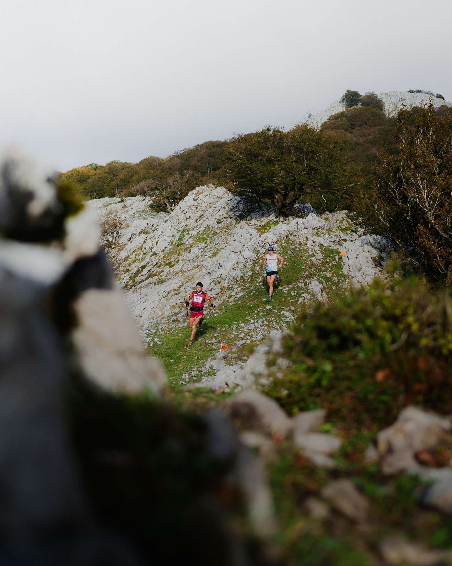 SKYULTRA disciplina